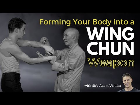 Wing Chun Body