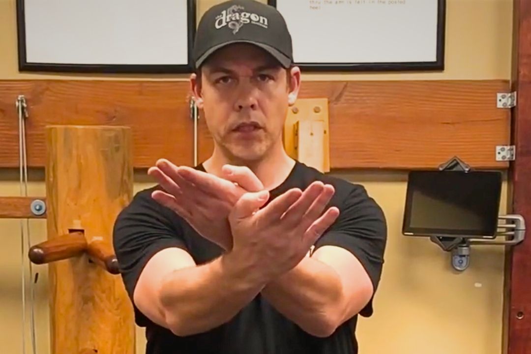 Online Wing Chun School Video Lessons