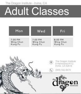 martial arts lake forest